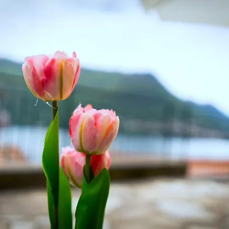 Terrazza Di Luisa Parking Wifi Vista 別荘 *