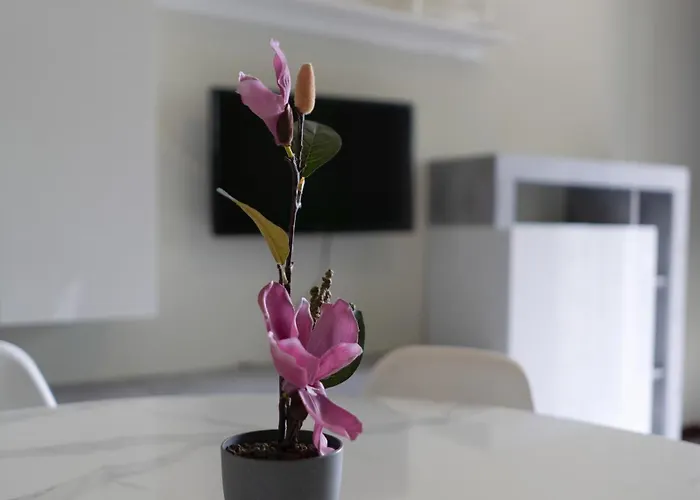 Terrazza Di Luisa Parking Wifi Vista 度假居