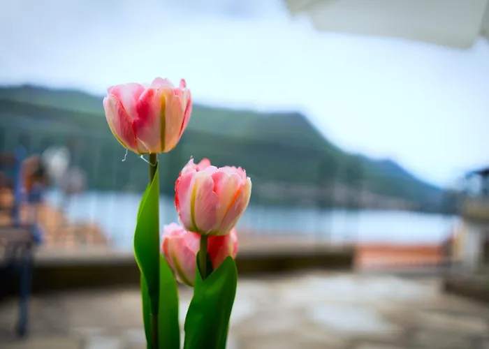 Terrazza Di Luisa Parking Wifi Vista 度假居 *